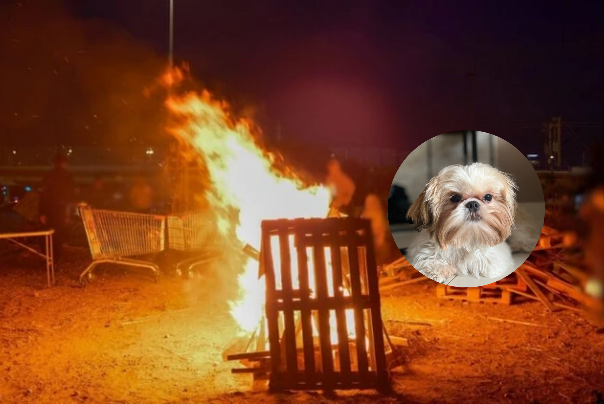 Two Arabs Arrested for Burning Dog Alive at Bonfire