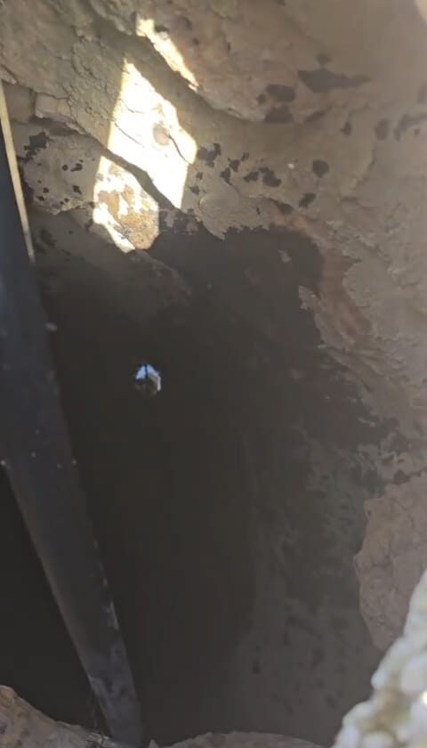 Agricultural Terror: 20 Wells Poisoned in Binyamin