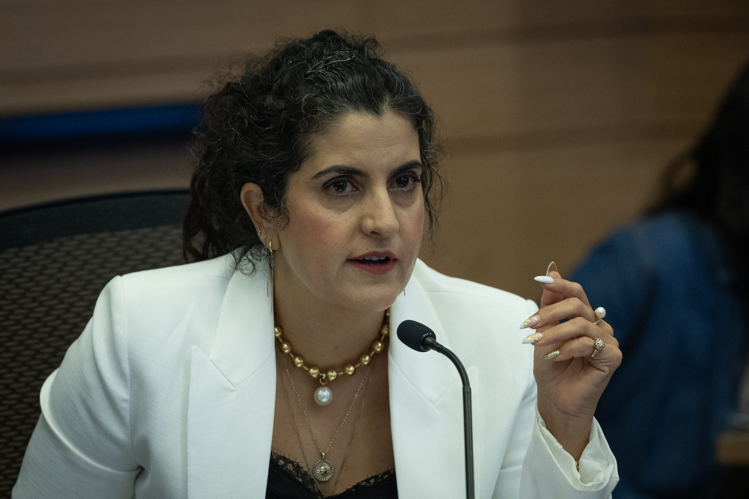 Knesset Legal Advisor Refuses Freeze on IDF Probe Law