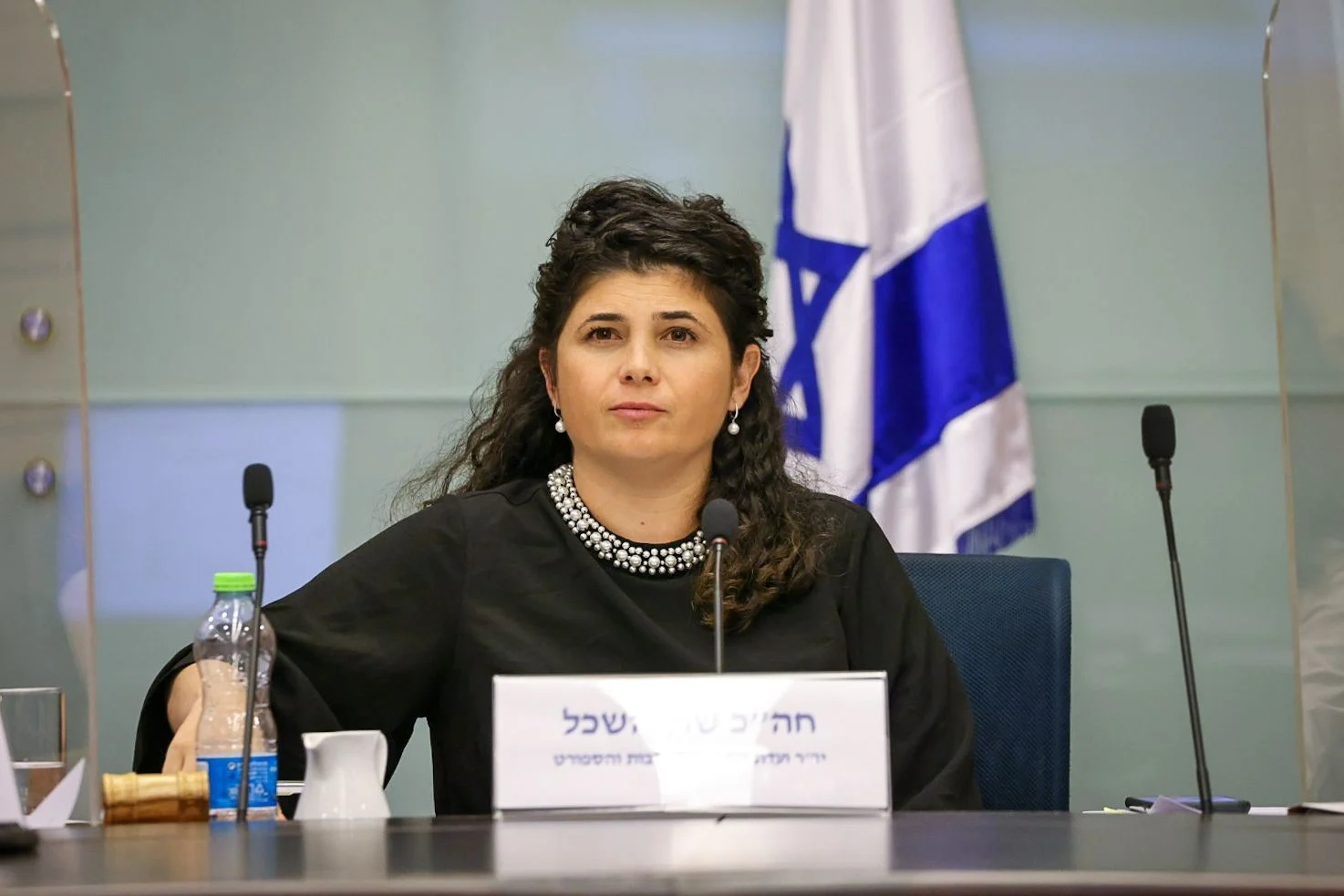 Deputy Foreign Minister Resigns After Law Passes