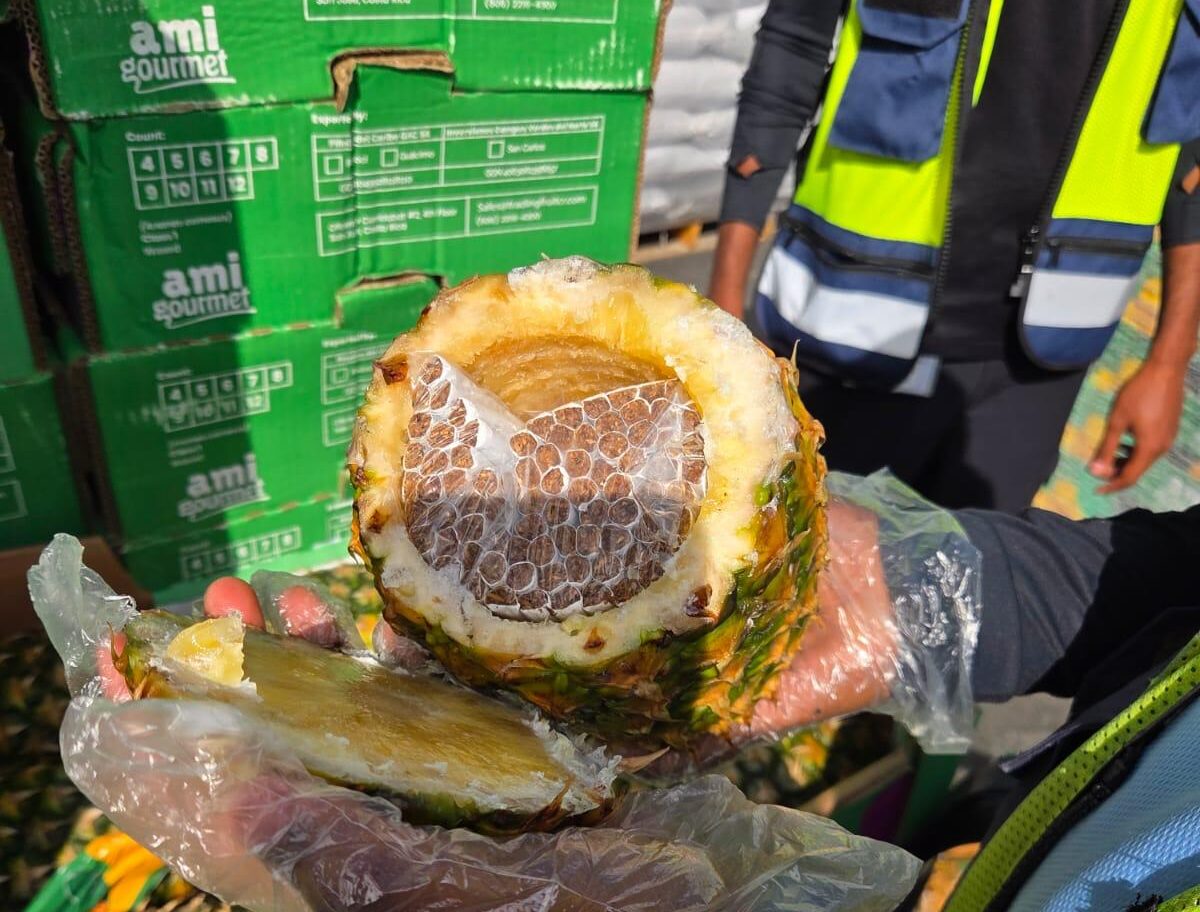 Thousands of Cigarettes Found in Pineapples Bound for Gaza