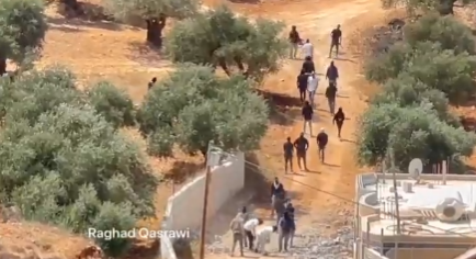 Activist: Qusra Riot Is Left-Wing BDS Provocation
