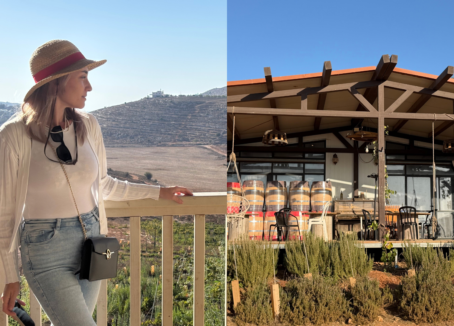 Travel Guide: Settlers Lodge in Esh Kodesh, East Israel