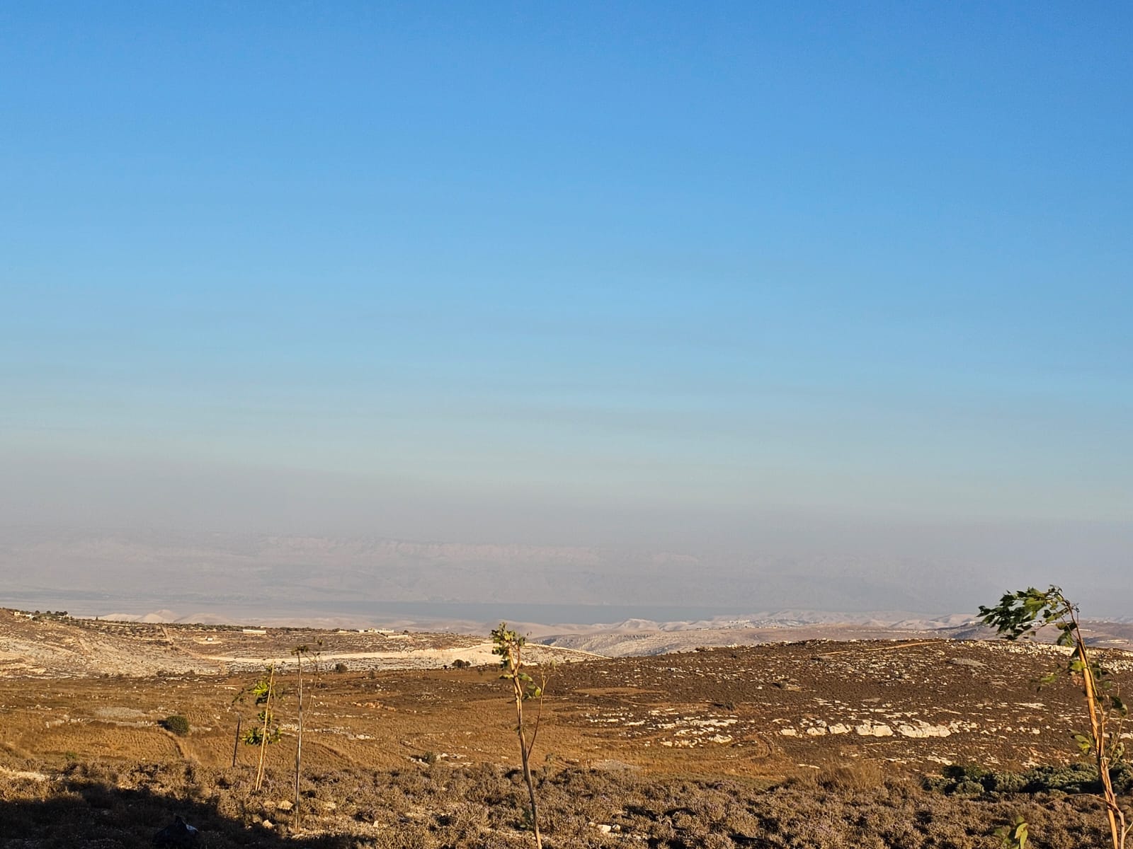 Ranch Owner Shoots Jihadist, Thwarts Arson Attack in Binyamin