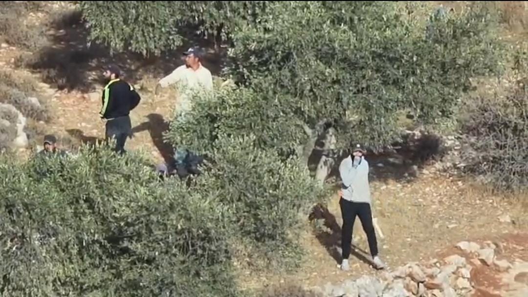 PA-Led Mob Fires Flares, Attacks Israelis During Olive Harvest