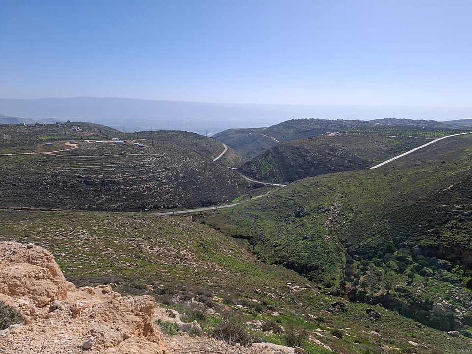 Two Detained After Shepherd Attacked Near Benjamin Ranch
